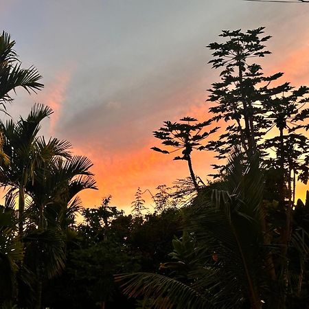הילו Hawaiian Ohana Home מראה חיצוני תמונה
